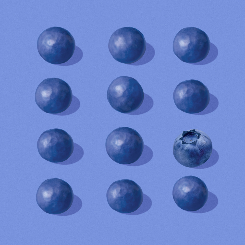 Chocolate Covered Blueberries